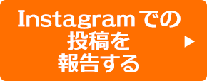 Instagramでの投稿を報告する