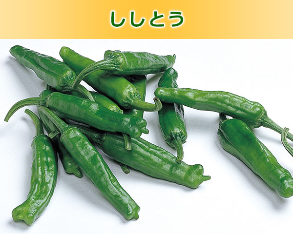 ししとう