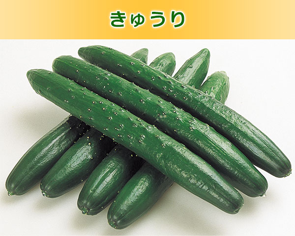 きゅうり
