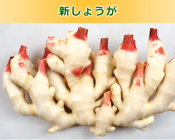 新しょうが