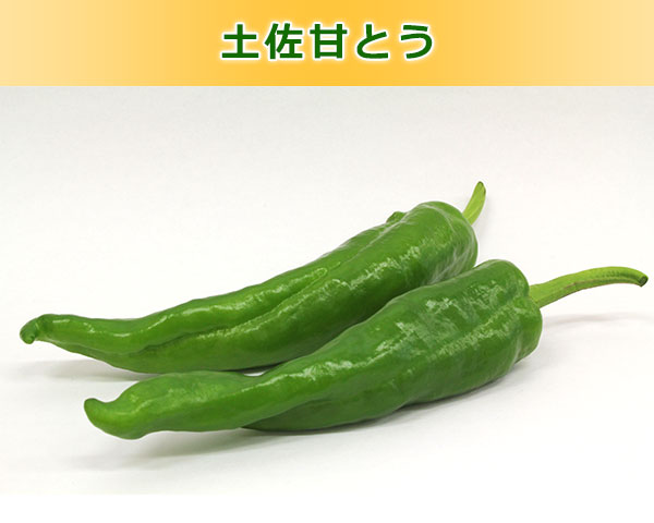 土佐甘とう